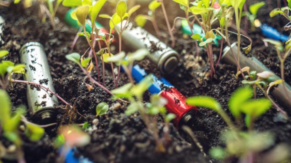 5313998935609343 MixCollage-03-Nov-2025-11-04-AM-9797