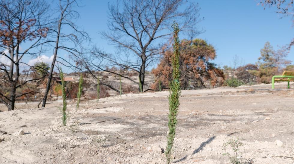 5321651364929760 MixCollage-11-Nov-2025-02-58-PM-2424