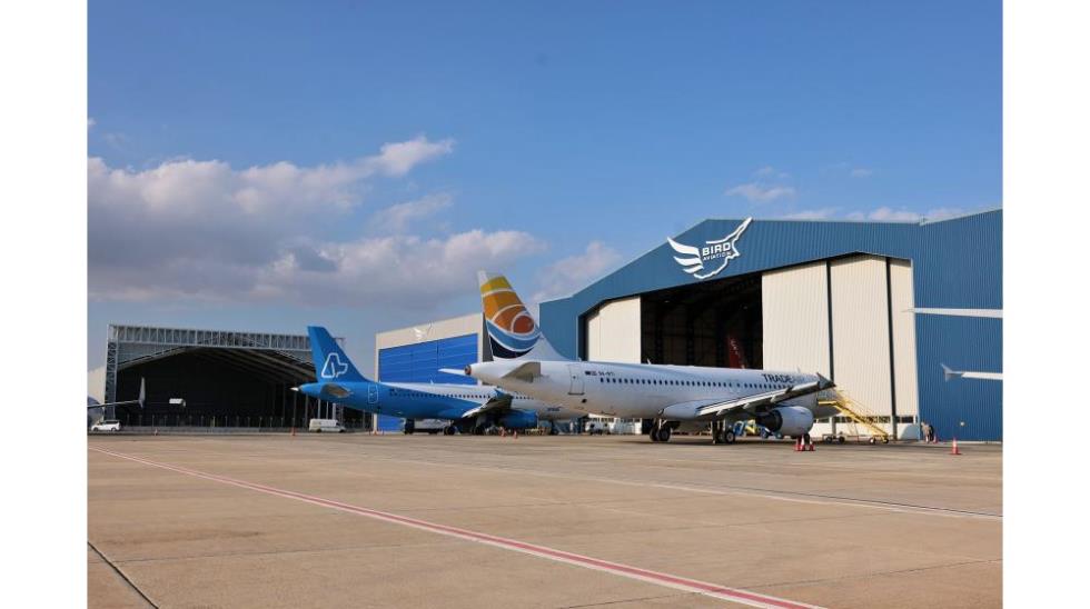 5321776503475571 Bird Aviation Hangars