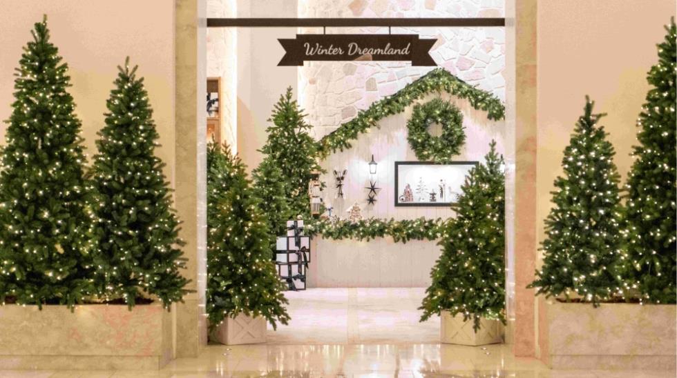 5333016653801546 MixCollage-25-Nov-2025-11-19-AM-2873