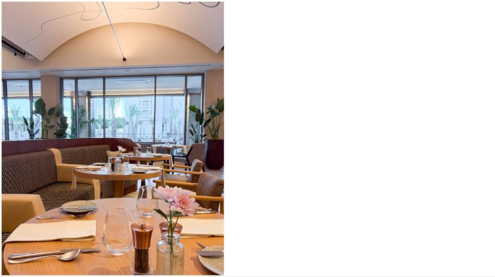 5346084405526544 MixCollage-10-Dec-2025-02-17-PM-5116