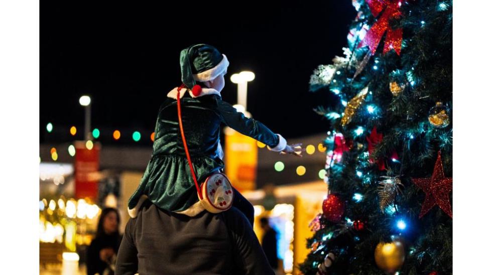 5352901778314222 IMG-426