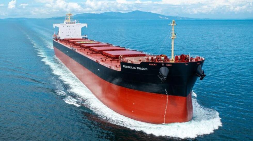 5380403198561920 safe bulkers two