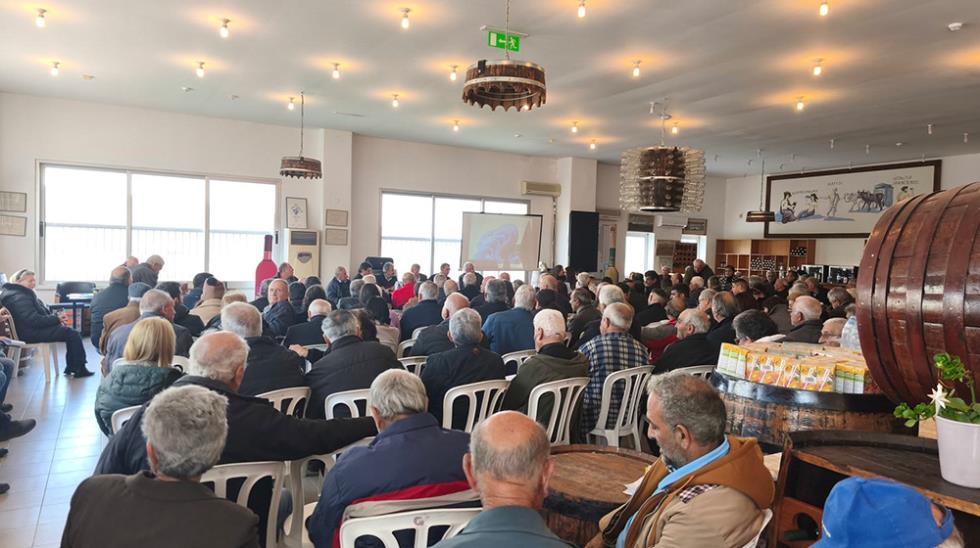 5383886689962441 three