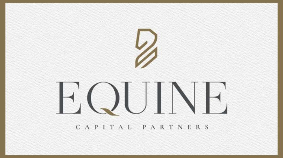 5394320676012647 Equine new