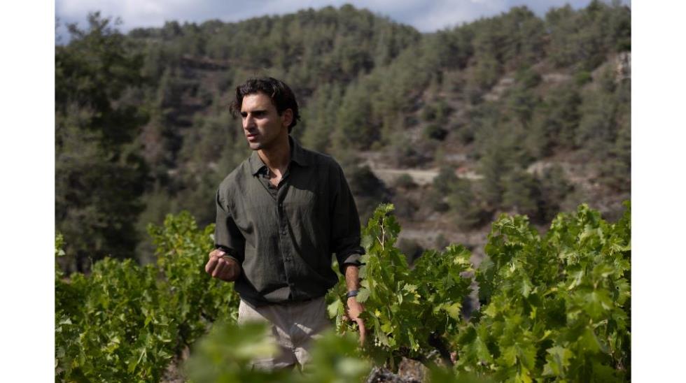 5430542428088771 Pittali Fanis