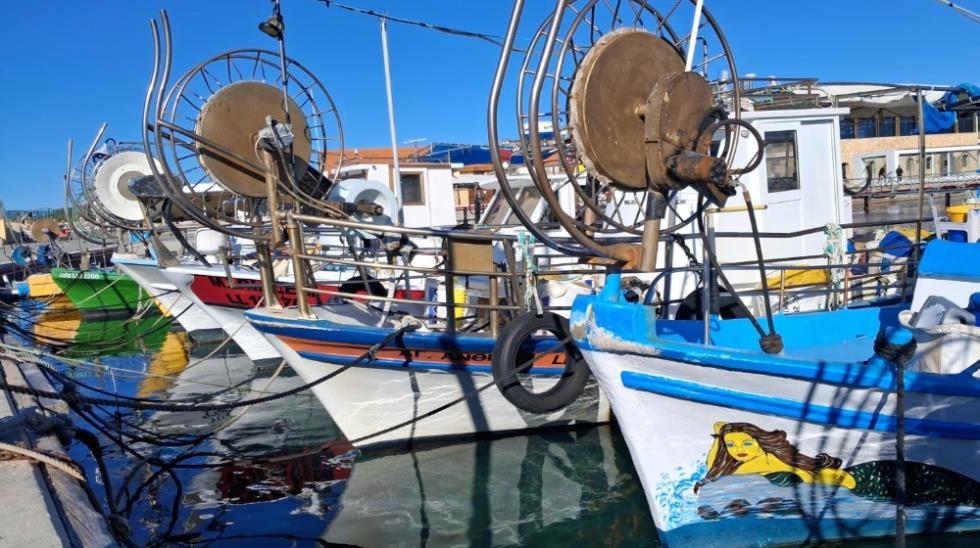 5431448937205247 Oceana (2)