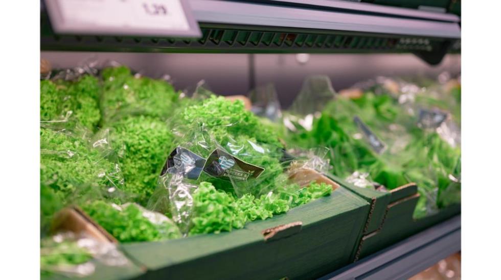 5435826677326896 Lidl mouttagiaka 2048px-177