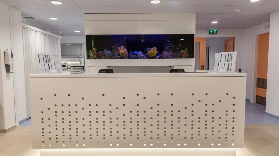 5460803890077596 1000x560 IASIS2