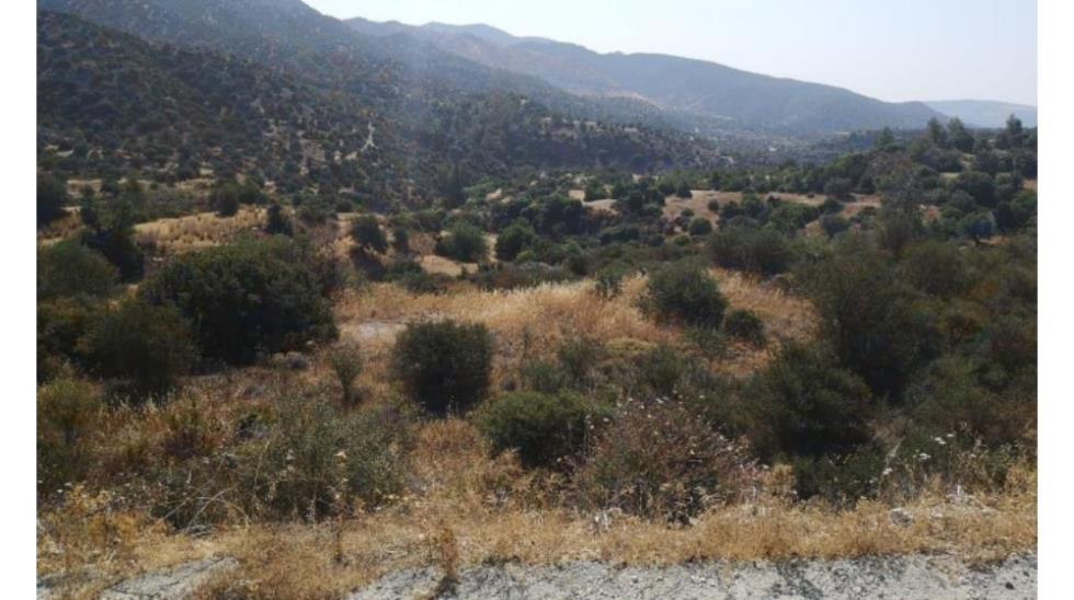 5491083162877443 ΜΑΘΗΚΟΛΩΝΗ 22.800