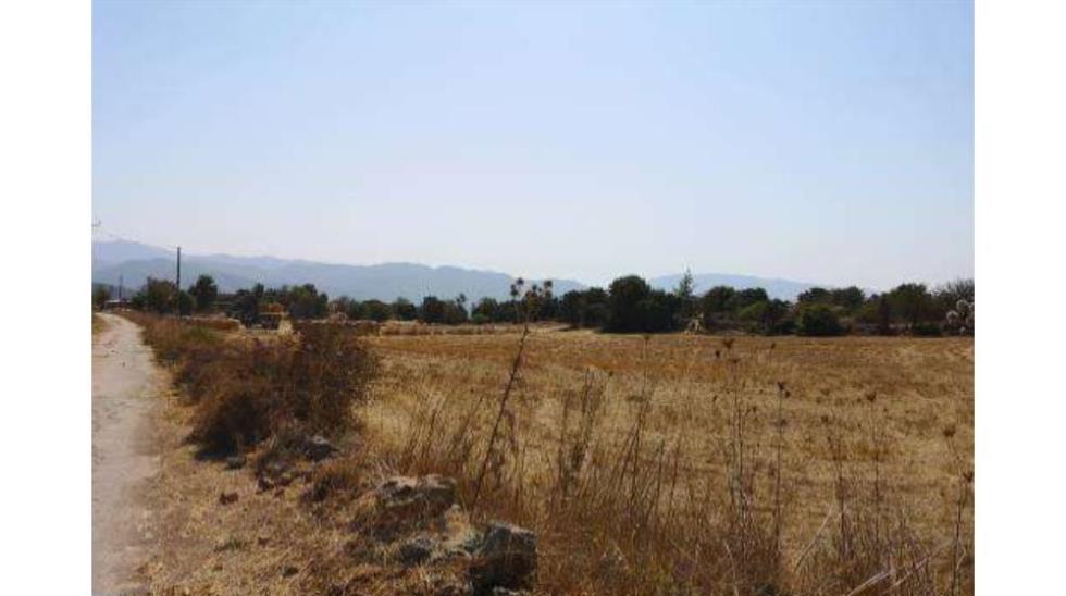5491083354594871 ΜΕΛΑΝΔΡΑ 10.500