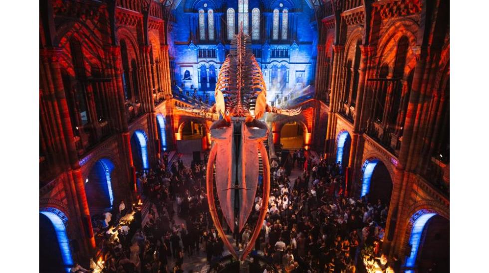 5563800497356631 capital dot com London event (3)