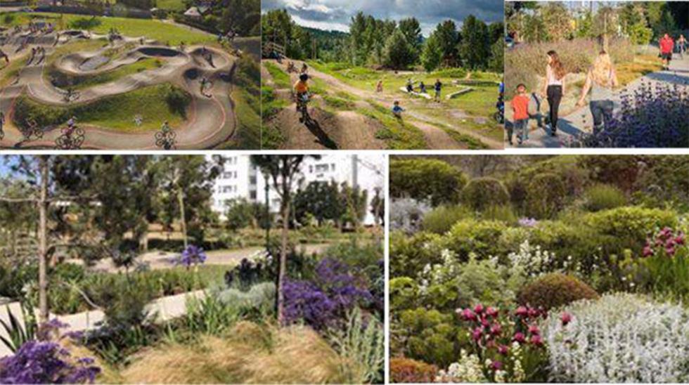 5599133681078976 cache 980x980 Analog medium 477485 241098 26 09 28 172535